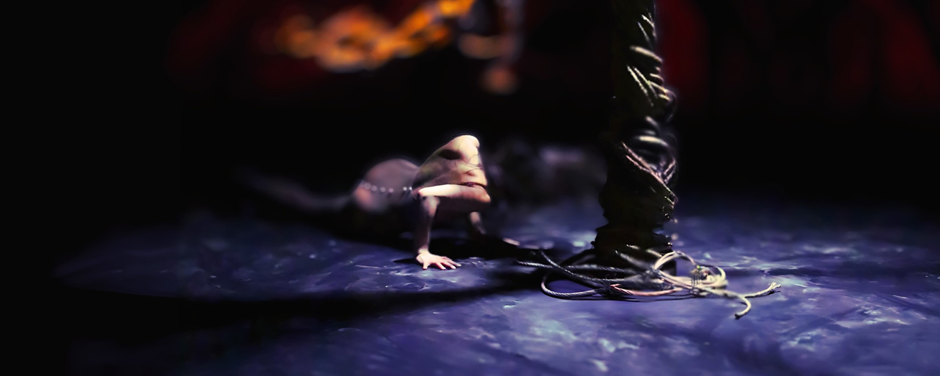 Dancing with Algorithms